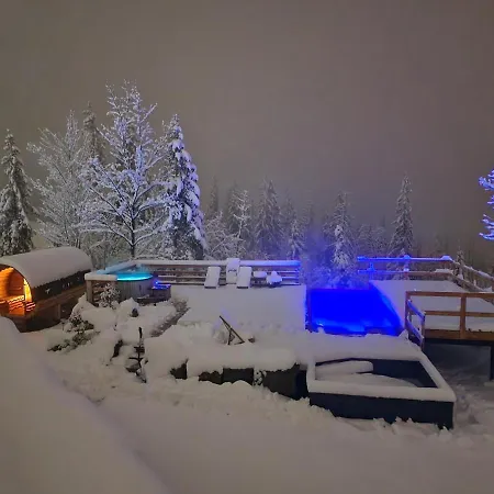Chillout-house Domki U Jambora Domek alpejski *